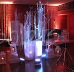 fire and ice prom theme