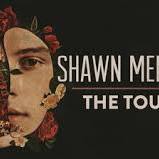 shawn mendes concert 2019