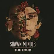 shawn mendes tour dates 2019