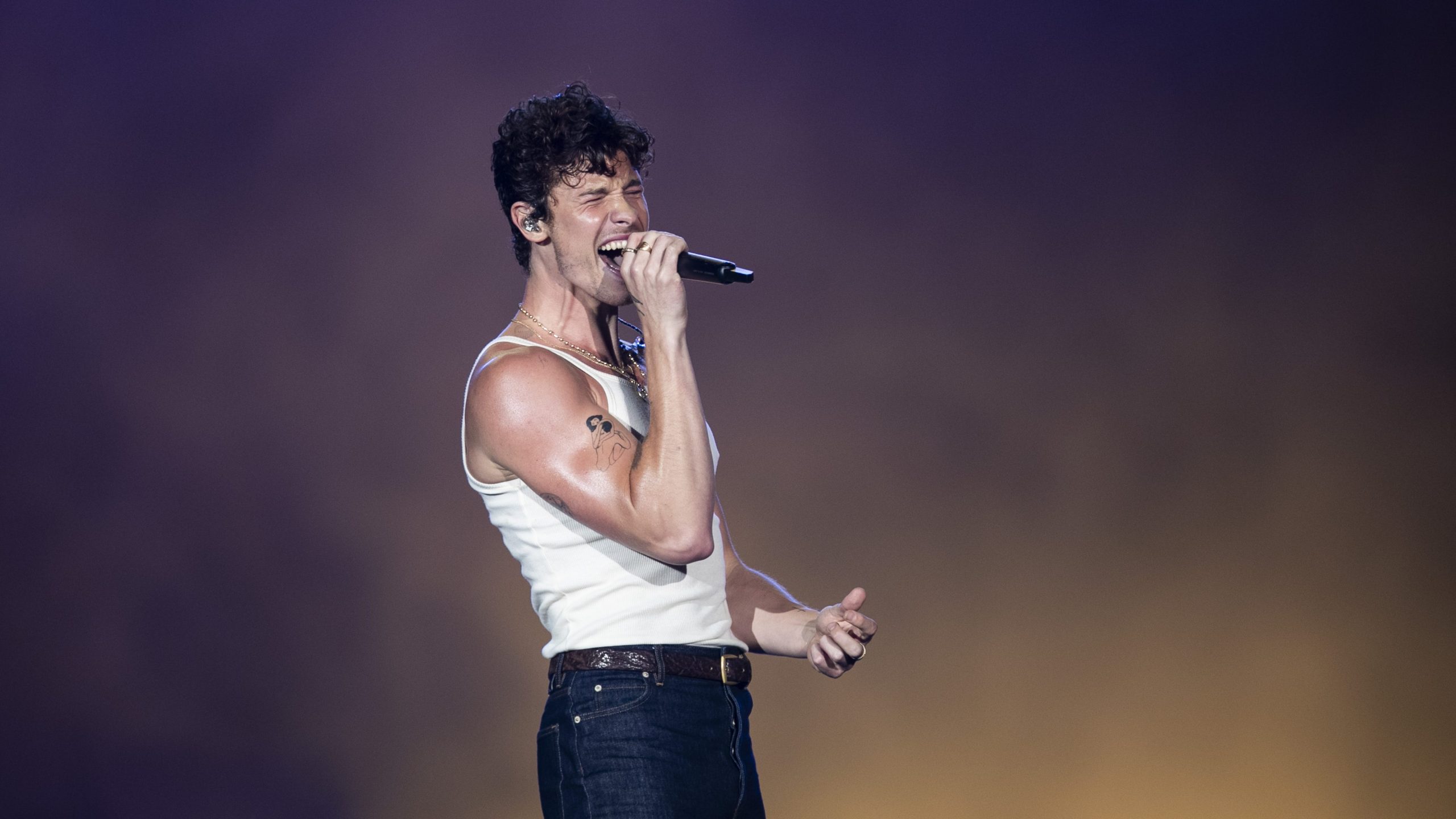 shawn mendes the tour